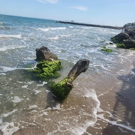 Lägenhet студио релакс, *