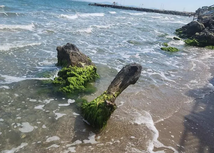 Apartment студио релакс, *