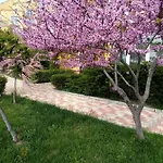 студио релакс,