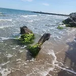 Апартамент студио релакс, *