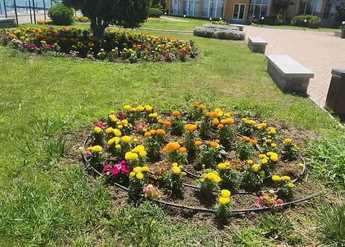 студио релакс, * Ахелой